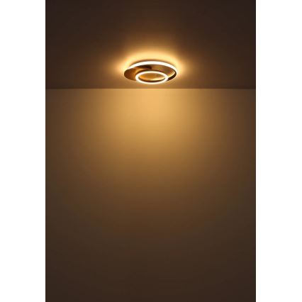 Globo - LED Ceiling light LED/24W/230V