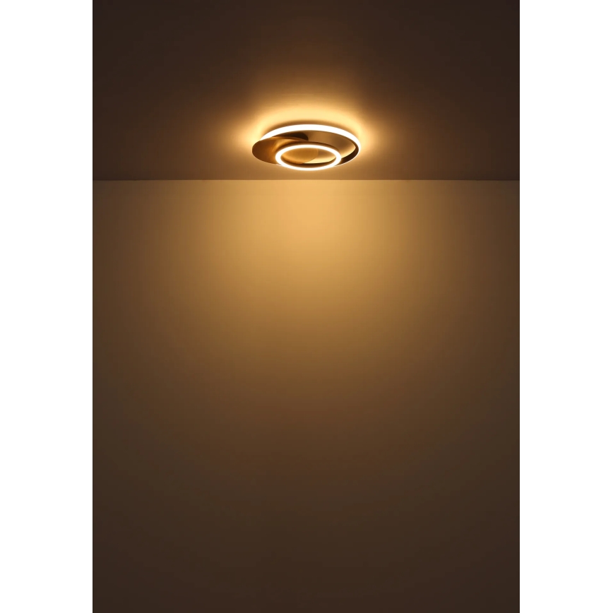 Globo - LED Ceiling light LED/24W/230V