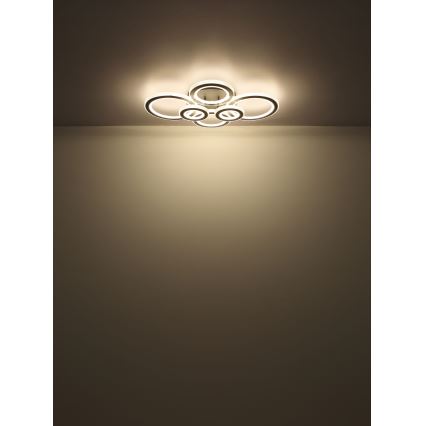 Globo - LED Dimmable ceiling light LED/60W/230V 2700-6000K 56x78 cm anthracite + remote control