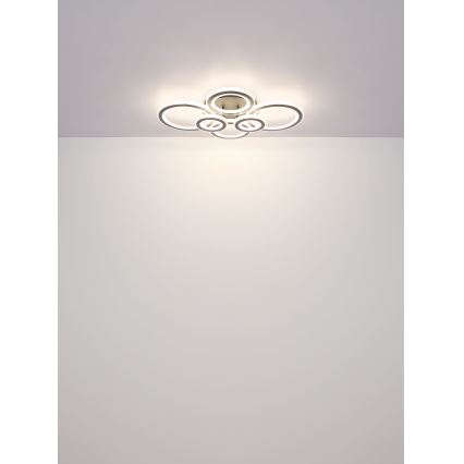 Globo - LED Dimmable ceiling light LED/60W/230V 2700-6000K 56x78 cm anthracite + remote control
