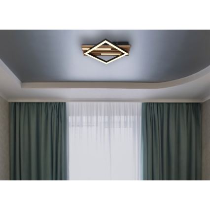 Globo - LED Ceiling Light LED/12W/230V + LED/7W 3000K 31x33 cm