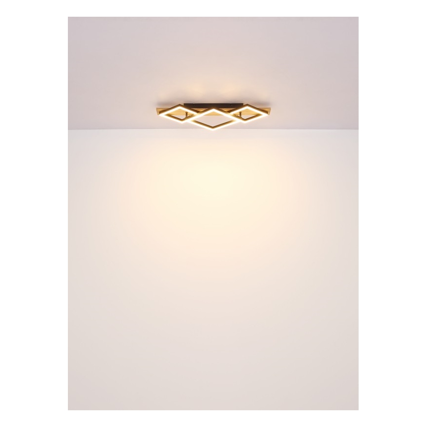 Globo - LED Ceiling Light LED/24W/230V + LED/8W 3000K 31x61cm