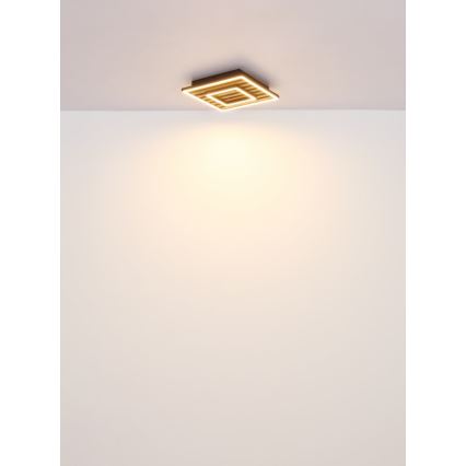 Globo - LED Ceiling light LED/18W/230V 3000K 30x30 cm