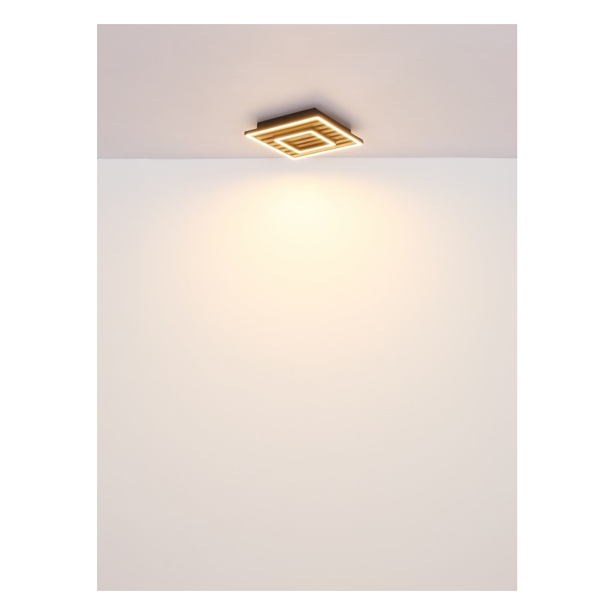 Globo - LED Ceiling light LED/18W/230V 3000K 30x30 cm