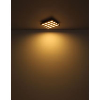 Globo - LED Ceiling Light, 15W, 230V, 3000K, 30x30 cm