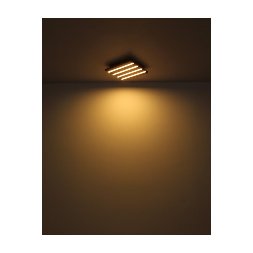 Globo - LED Ceiling Light, 15W, 230V, 3000K, 30x30 cm