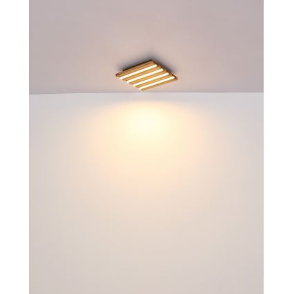 Globo - LED Ceiling Light, 15W, 230V, 3000K, 30x30 cm