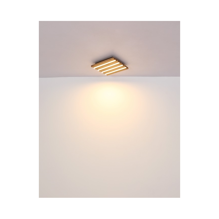 Globo - LED Ceiling Light, 15W, 230V, 3000K, 30x30 cm