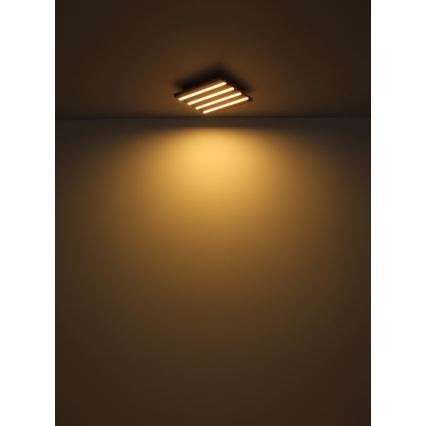 Globo - LED Ceiling light LED/30W/230V 3000K 45x45 cm wood