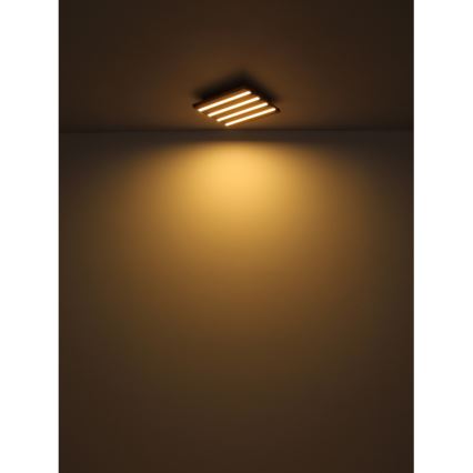 Globo - LED Ceiling light LED/30W/230V 3000K 80x20 cm wood