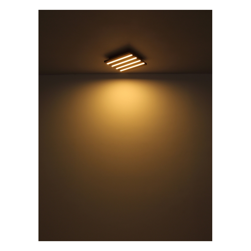Globo - LED Ceiling light LED/30W/230V 3000K 80x20 cm wood