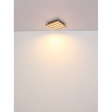 Globo - LED Ceiling light LED/30W/230V 3000K 80x20 cm wood