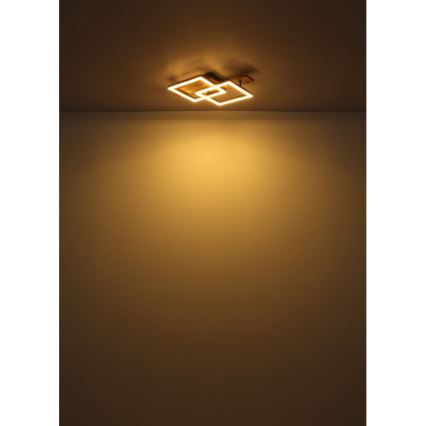 Globo - LED Ceiling Light LED/16W/230V 3000K 33x44 cm