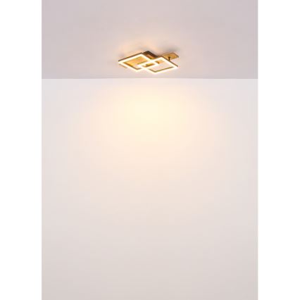 Globo - LED Ceiling Light LED/16W/230V 3000K 33x44 cm