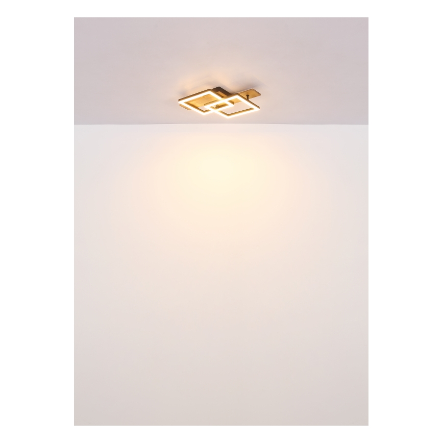 Globo - LED Ceiling Light LED/16W/230V 3000K 33x44 cm
