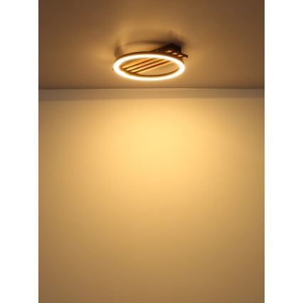 Globo - LED Ceiling light LED/12W/230V 3000K 30x34 cm
