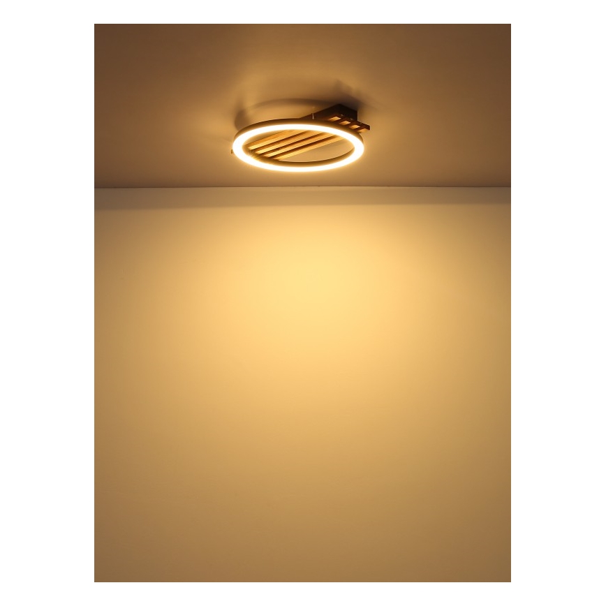 Globo - LED Ceiling light LED/12W/230V 3000K 30x34 cm