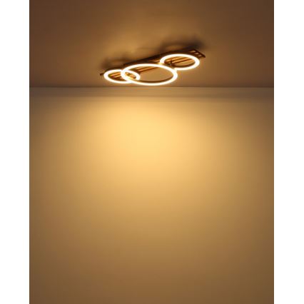 Globo - LED Ceiling light LED/24W/230V 3000K 30x62 cm