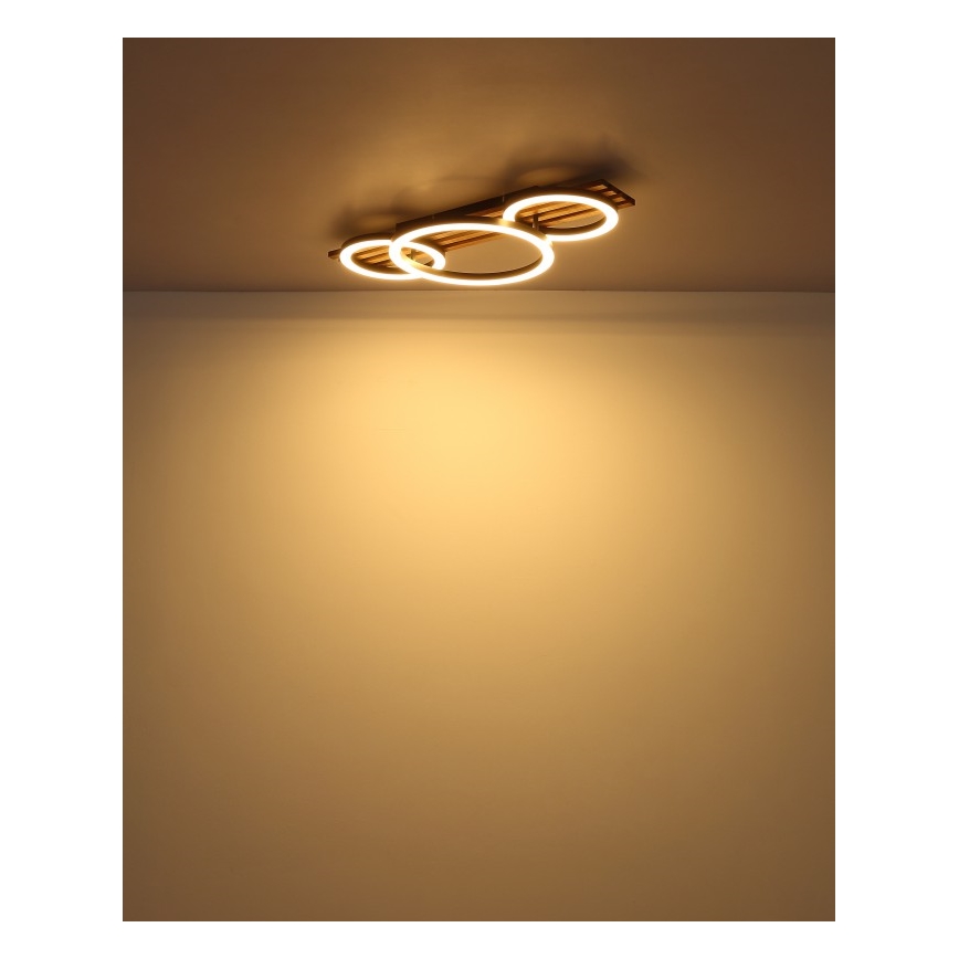 Globo - LED Ceiling light LED/24W/230V 3000K 30x62 cm