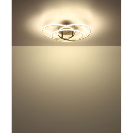 Globo - LED Ceiling light LED/40W/230V 4000K d. 45,6 cm matte chrome