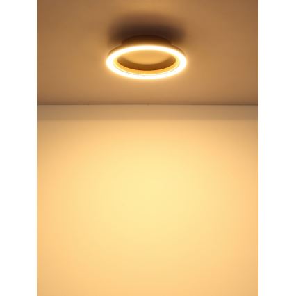 Globo - LED Ceiling Light LED/12W/230V 3000K Ø 20.5 cm