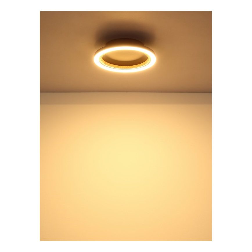 Globo - LED Ceiling Light LED/12W/230V 3000K Ø 20.5 cm