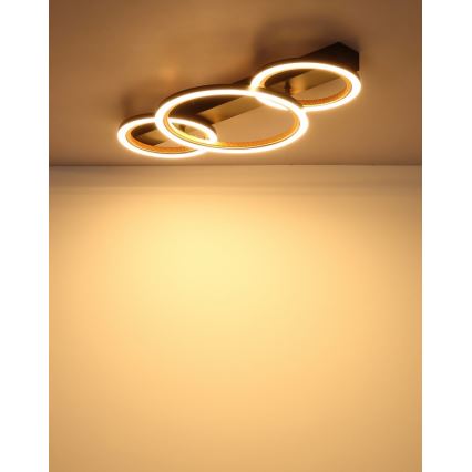 Globo - LED Ceiling Light LED/40W/230V 3000K 58x30 cm