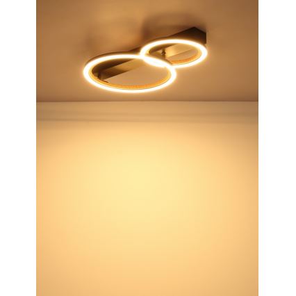 Globo - LED Ceiling Light LED/30W/230V 3000K 44x30 cm
