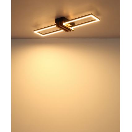 Globo - LED Ceiling Light, 20 W / 230 V, 3000 K, 60 x 16.8 cm