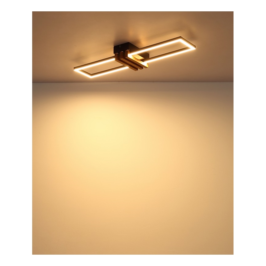 Globo - LED Ceiling Light, 20 W / 230 V, 3000 K, 60 x 16.8 cm