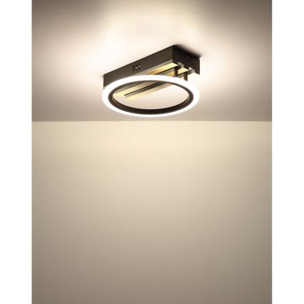 Globo - LED Ceiling Light LED/10W/230V 3000/4200/6000K