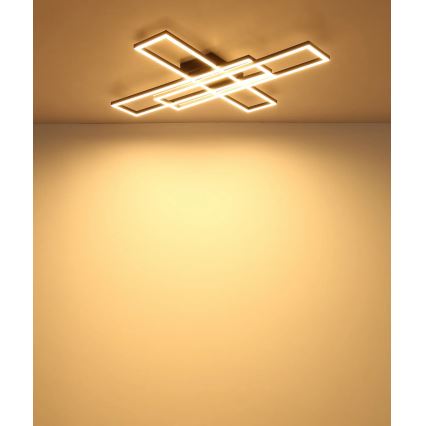 Globo - LED Ceiling Light LED/55W/230V 3000K 80x60 cm