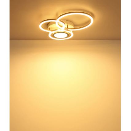 Globo - LED Ceiling Light LED/40W/230V 3000K 49x39 cm