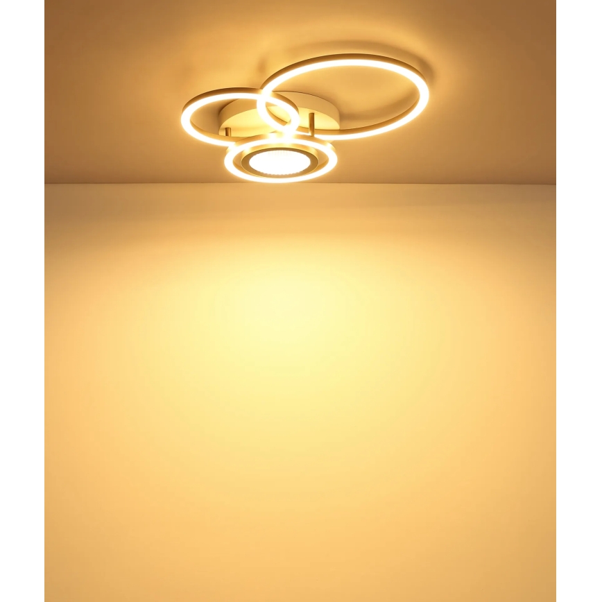 Globo - LED Ceiling Light LED/40W/230V 3000K 49x39 cm