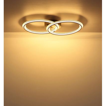 Globo - LED Ceiling Light LED/30W/230V 3000K 33x54 cm