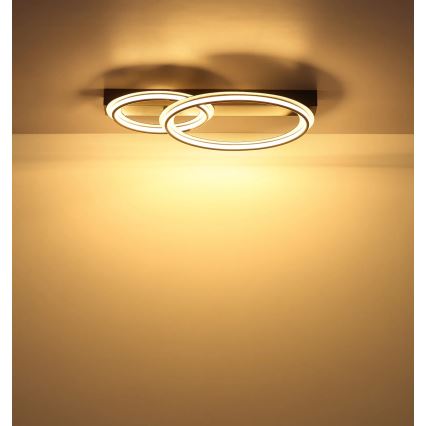 Globo - LED Ceiling Light LED/30W/230V 3000K 33x45 cm