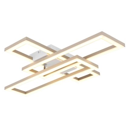 Globo - LED Ceiling Light LED/24W/230V 3000/4000/6000K