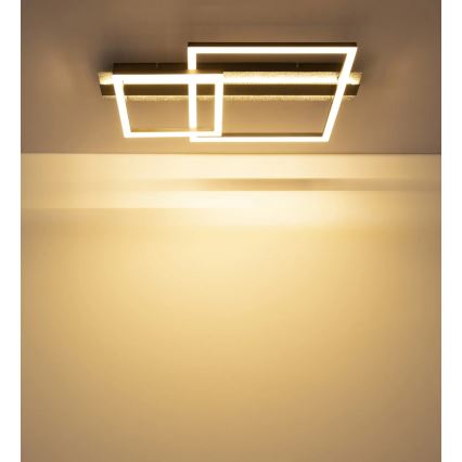 Globo - LED Ceiling Light LED/30W/230V 3000K 33x56 cm