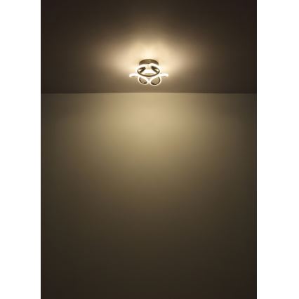 Globo - LED Ceiling light LED/24W/230V 2700/4000/6000K d. 26 cm black