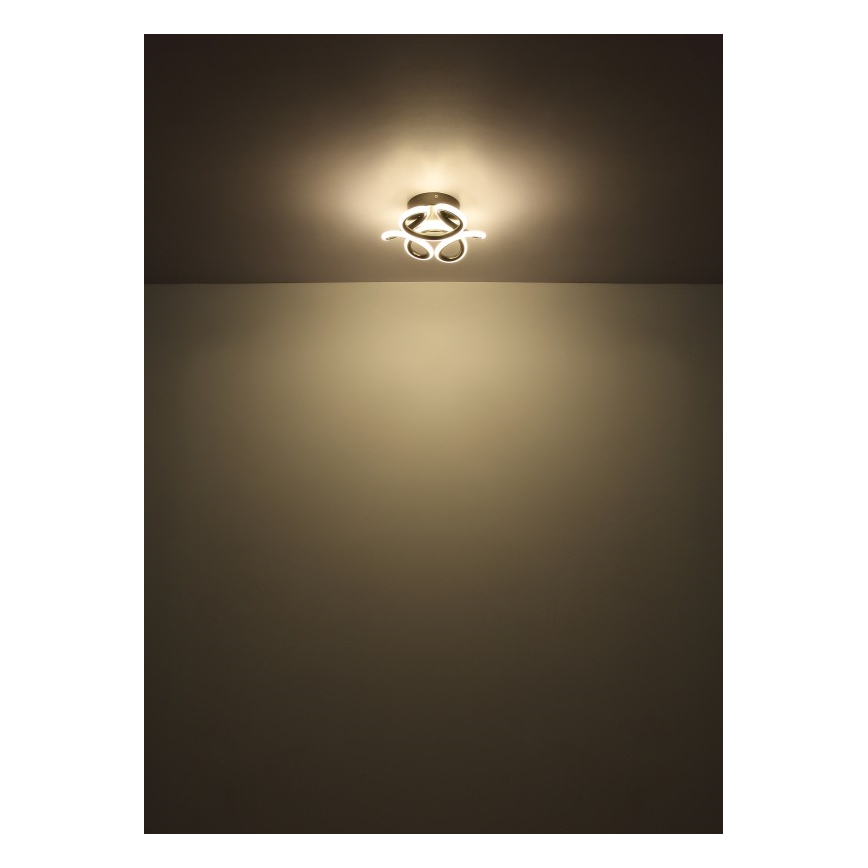 Globo - LED Ceiling light LED/24W/230V 2700/4000/6000K d. 26 cm black