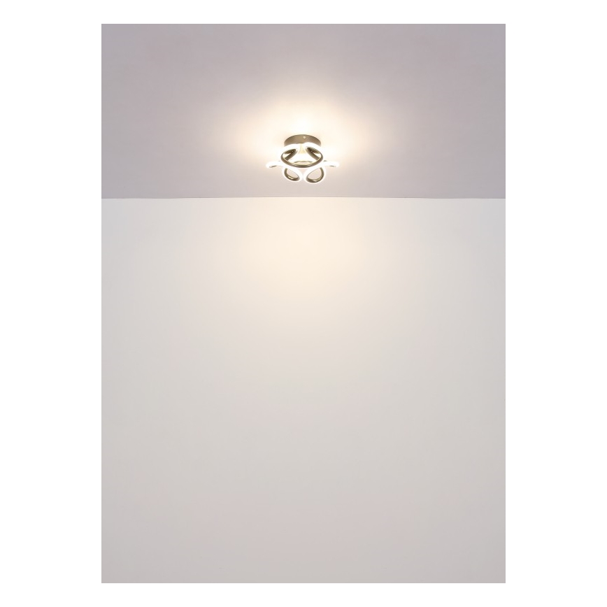 Globo - LED Ceiling light LED/24W/230V 2700/4000/6000K d. 26 cm black