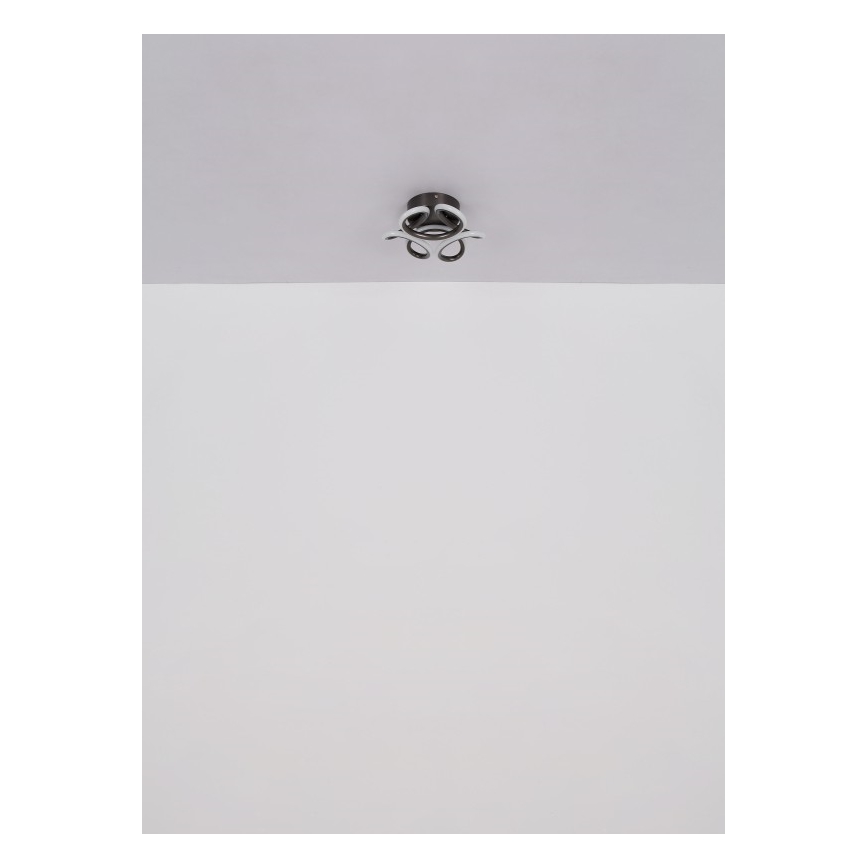 Globo - LED Ceiling light LED/24W/230V 2700/4000/6000K d. 26 cm black