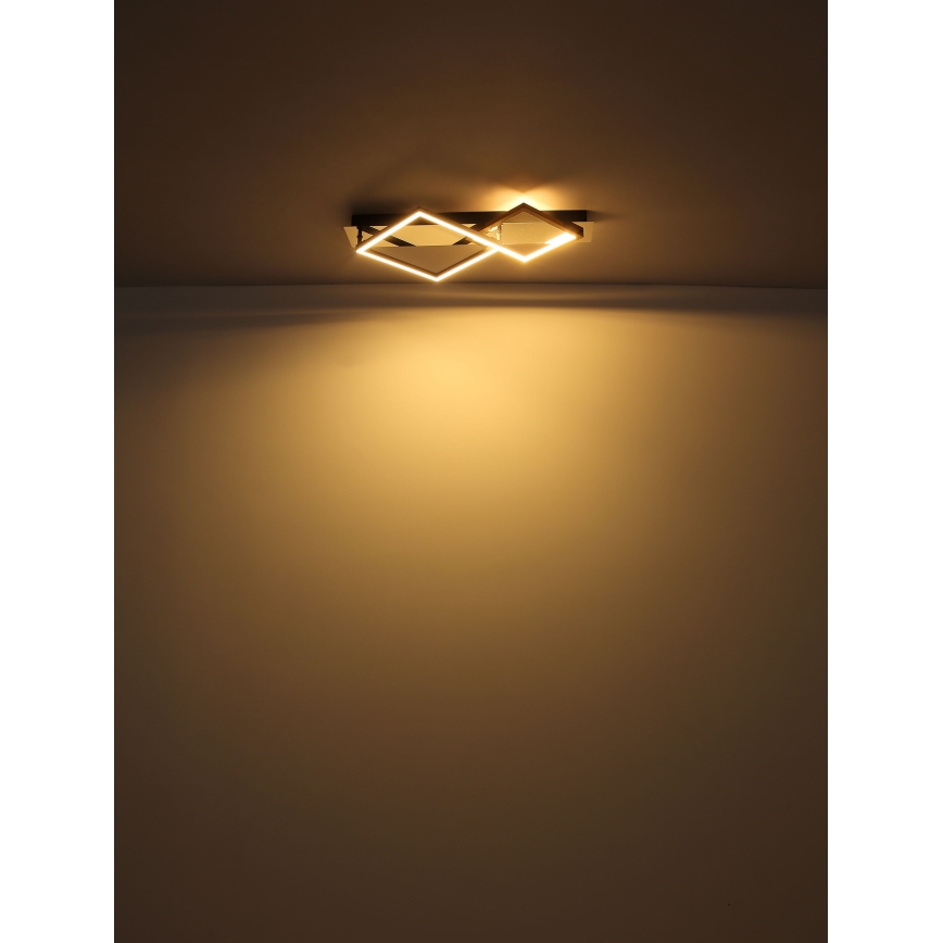 Globo - LED Ceiling light LED/24W/230V 3000K