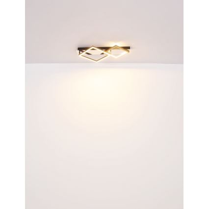 Globo - LED Ceiling light LED/24W/230V 3000K