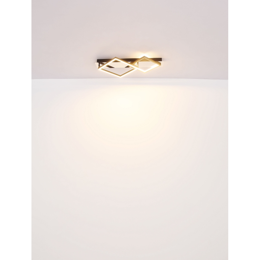 Globo - LED Ceiling light LED/24W/230V 3000K