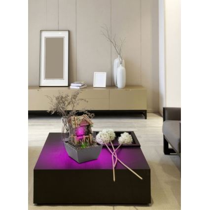 Globo - LED RGB Decorative fountain LED/0,13W/230V