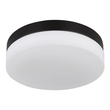 Globo - Bathroom light 2xE27/60W/230V d. 24 cm IP44