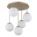 Globo - Brass 5-light flush-mount chandelier, 5xE14/25W/230V
