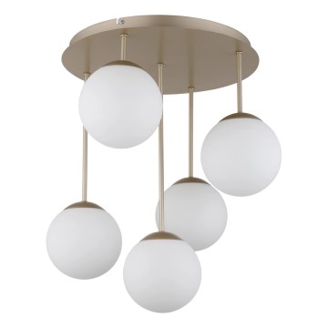 Globo - Brass 5-light flush-mount chandelier, 5xE14/25W/230V