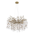 Globo - Cable-hung chandelier 10xE14/40W/230V, gold finish